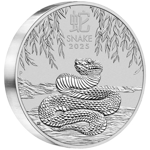 2025 Perth Mint Silver Lunar Snake Coin 10kg