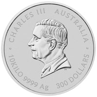 2025 Perth Mint Silver Lunar Snake Coin 10kg