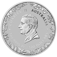 2026 Perth Mint Platinum Wonders of Australia The Outback Coin 1oz