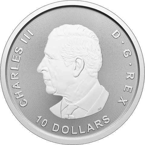 2025 Royal Canadian Mint Goose Silver Coin 2oz