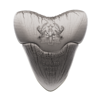 2025 Ghana Silver Megalodon Shark Tooth Coin 2oz
